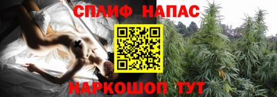 ГАЛЛЮЦИНОГЕННЫЕ ГРИБЫ Бузулук