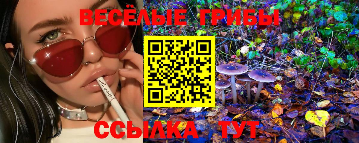 Псилоцибиновые грибы прущие грибы Сертолово